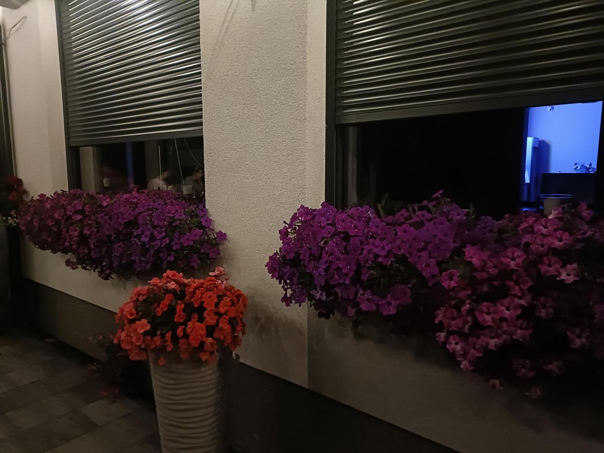 Lesne Niebo Hotell Lubniewice Exteriör bild